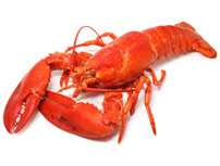 Saveurs autour du HOMARD: du vendredi 20 au dimanche 22 décembre 2024